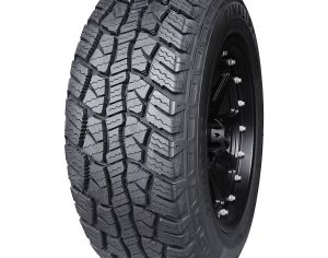 R20 265/50 ყველა სეზონი - 1