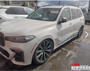 ISHLEBA BMW  X7 2022