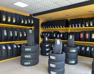 295/30R21
