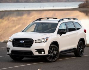 ვშლი ასცენტებს