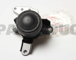 suzuki kizashis padmatornebi