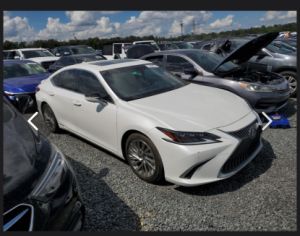 დაშლილები