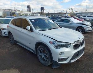 BMW X1 2017 2.0 - 1