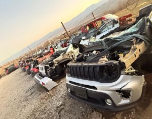 რწნწგწიდი