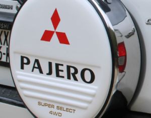 სათადარიგო საბურავის ნიკელის ხუფი