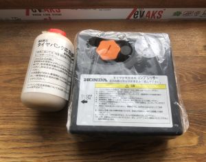 იაპონური ელექტრო ნასოსი