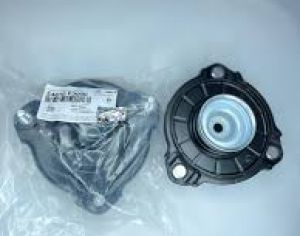 ამორტიზატორის ჩაშკა