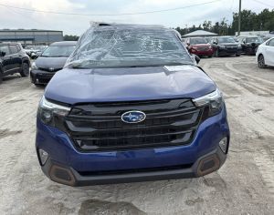 იშლება ფორესტერები