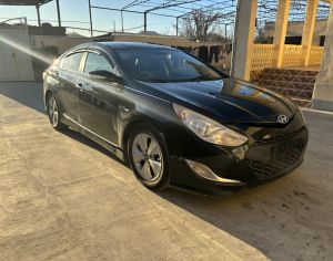 Hybridi