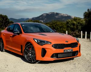 Body kit