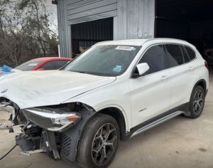 x1        f30       g20