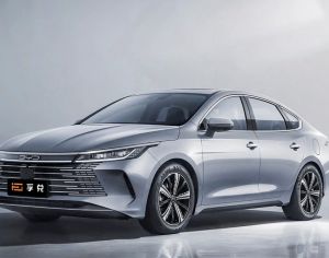 Maqvs xvela axali nacili