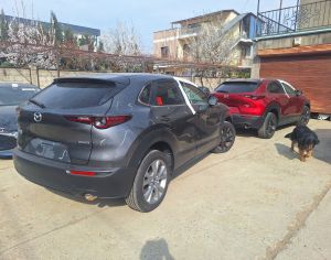 MAZDA CX-30 2020 2.5 - 2
