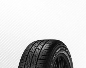 R20  255/50 ყველა სეზონი