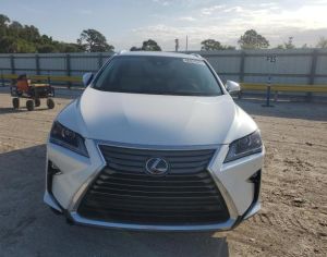 rx