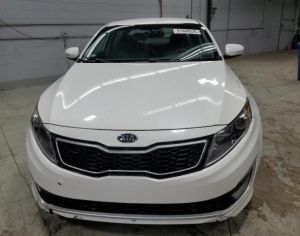 Optima hybrid