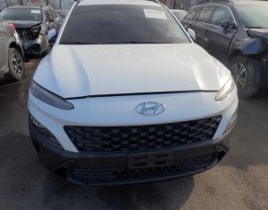 HYUNDAI kona 2022 2.0 - 1