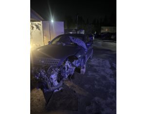 ნაწილები