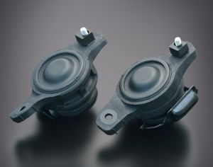 SUBARU-ს პადმატორნები