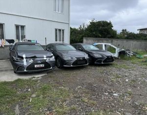 დაშლილები