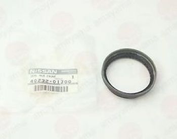 წინა სტუპიცის სალნიკი