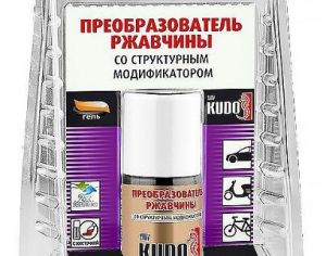 ჟანგის გარდამქმნელი ჯაგრისით Kudo KU-70005 15 მლ