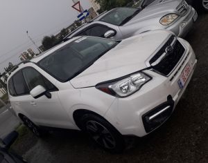 Foresteri