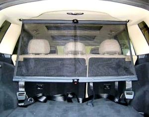 საბარგულის ბადე