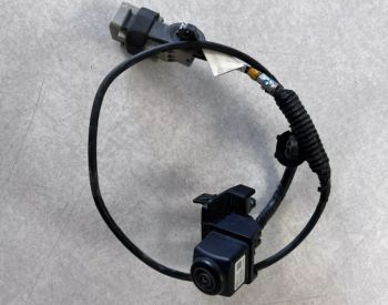 ორიგინალი დიდი მონიტორის