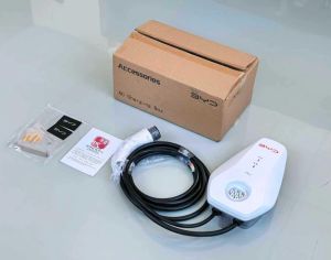 ჩინური დამტენი - GBT BYD 32A - 7.4KW