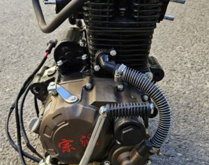 HONDA CB 250 2024-2025