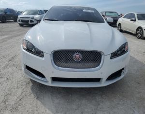 Ishleba jaguar eliavaze