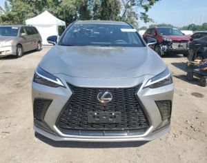 მაქვს ნქს 2022-+2024 დეტალები