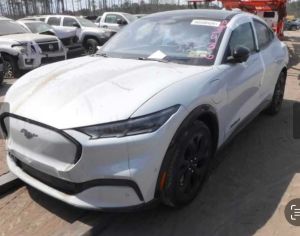 FORD Mustang Mach-E 2023 0.1 - 1