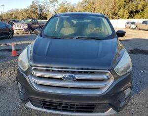 Ford Escape 2017-2019