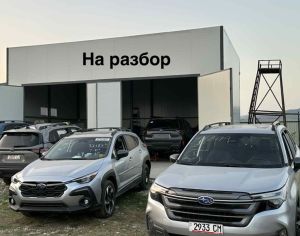 авто разборка