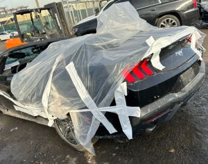 ford mustang 2024