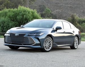 ishleba avaloni hybridi 2019 wliani 598784777