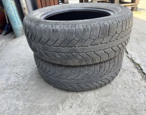 R16  205/60 ყველა სეზონი