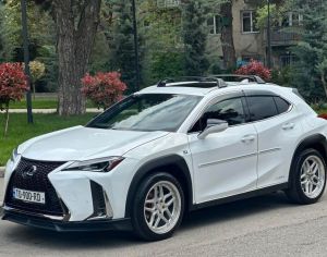 lexus ux250h fsport