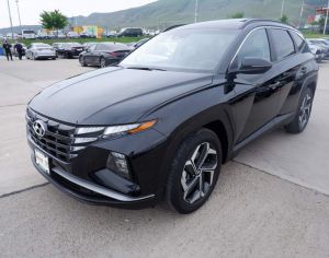 იშლება ტუქსონი