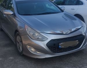 იშლება ჰიბრიდი