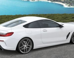 R21 BMW / MERCEDES-BENZ / AUDI