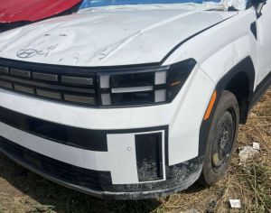 santafes dashlilebi 2024