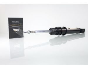 Ამორტიზატორი Audi A8 (II) D3 (2002-2010) უკანა მარჯვნივ/მარცხნივ