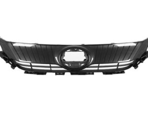 20- VENZA - ცხაური CHINA