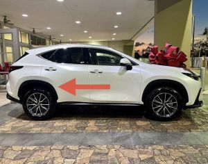 LEXUS NX 350 2022-2025