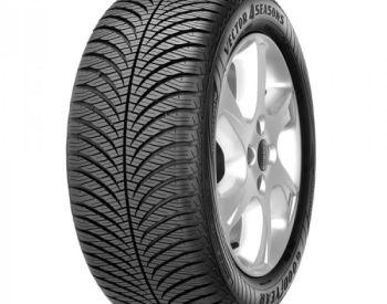 საბურავები