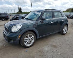 ISHLEBA Cooper, S Countryman