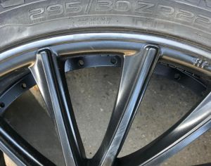 R22 იდეალურ მდგომარეობაში დედალ მამალი